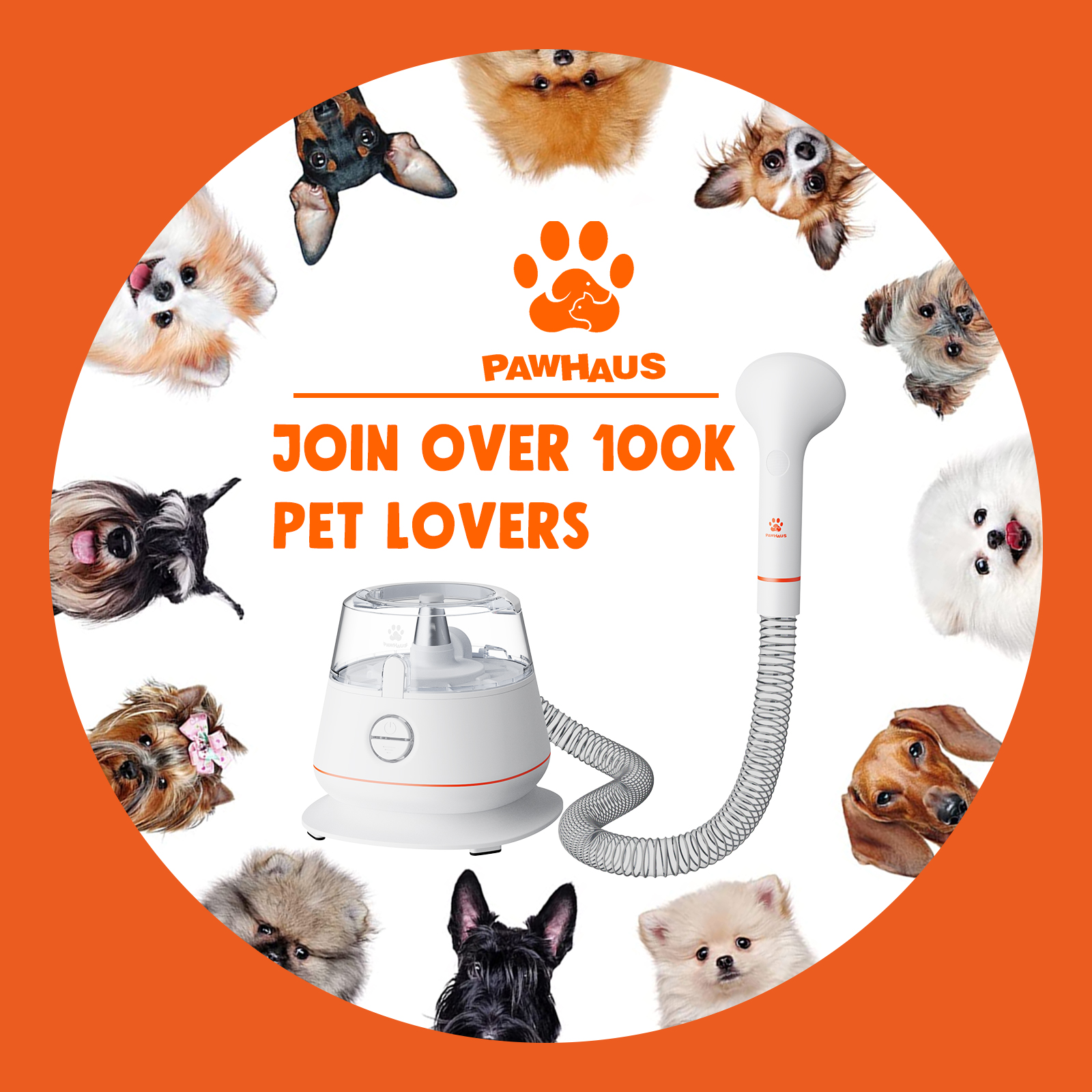 Pet Lovers Kit